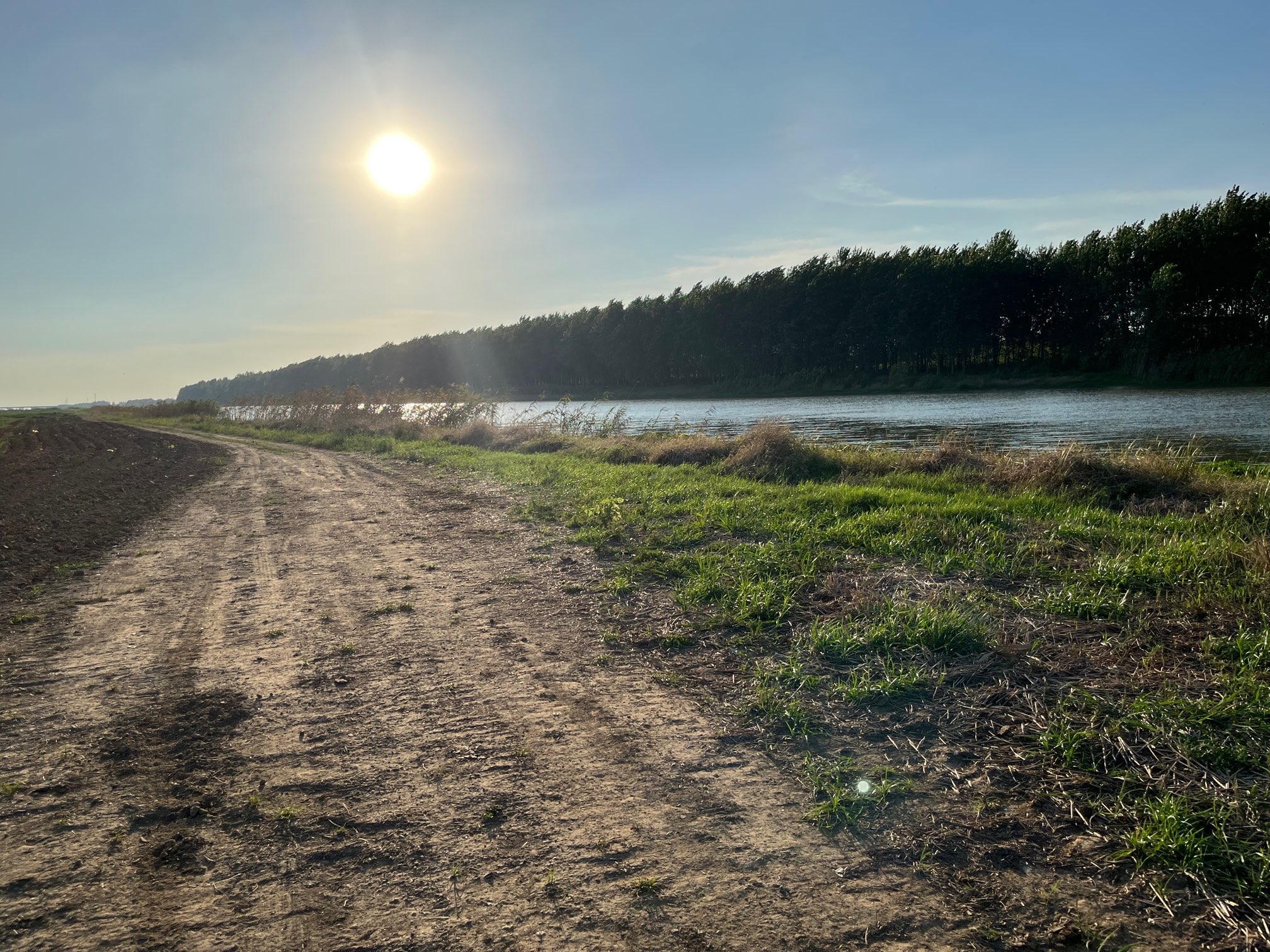 美好生活我在行动——记一次志愿服务